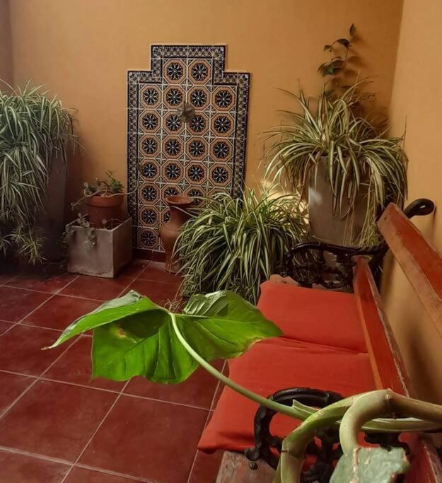 ¨Las Mayolicas¨ Hermoso Depto Con Patio Espanol Mendoza Eksteriør billede